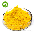 Hot Sale Pure Coenzyme Q10 Powder 98% bulk